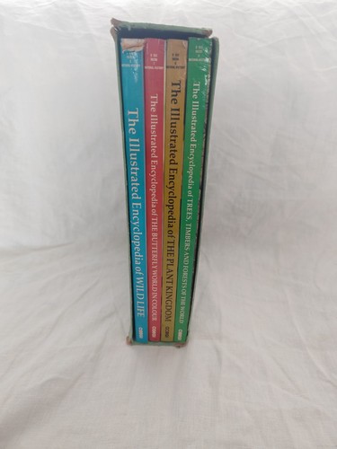 Vintage 1981 illustrated - vintage,
