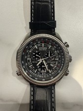 Citizen Eco-Drive Perpetual