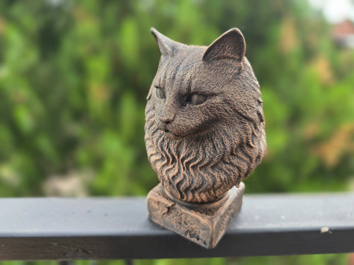 Norwegian forest cat - forest, bust