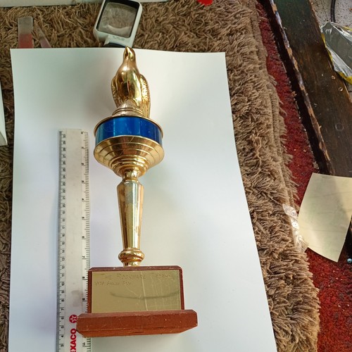 Pigeon racing trophy the - pigeon,