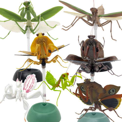 Bandai gashapon mantis figure - gashapon,