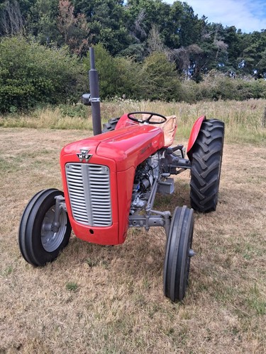 Massey ferguson petrol - 35, 1960