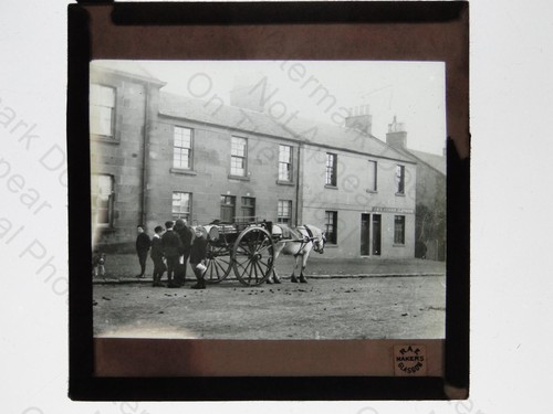 Horse drawn cart barrels - horse,