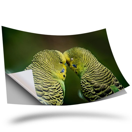Vinyl sticker green - 1,