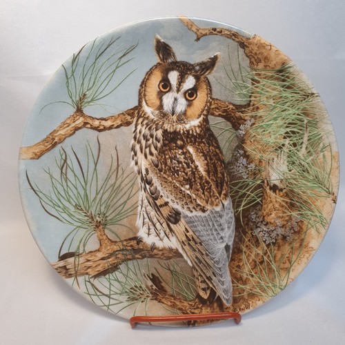 Bone china plate - china,