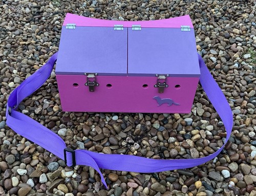 Double bow back painted - painted, ferret