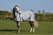 TURNOUT RUG No Fill Horse