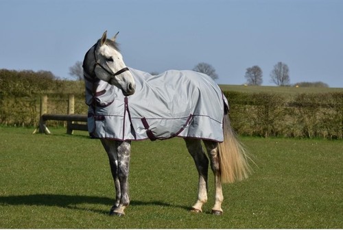 Turnout rug fill horse - turnout,