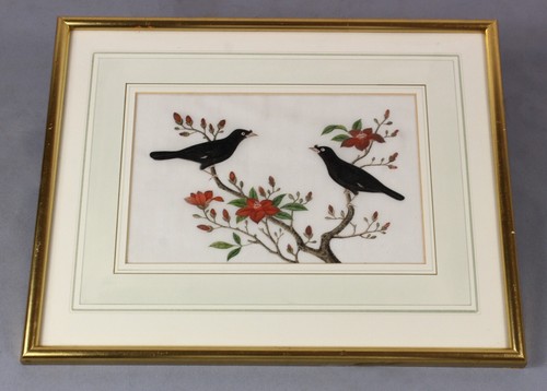 Chinese pith painting myna - pith,