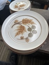 Denby Cotswold Plate Dinner