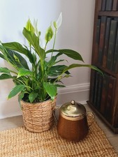Antique Oak & Ceramic Ice Bucket Biscuit Barrel Silver-Plated Trim Wooden 