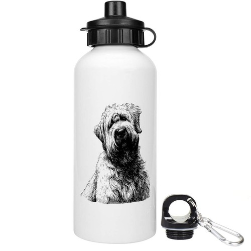 Soft coated wheaten terrier - wheaten, terrier'
