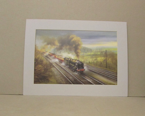 David weston scot at speed - scot,