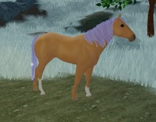 Wild Horse Islands RC Palomino