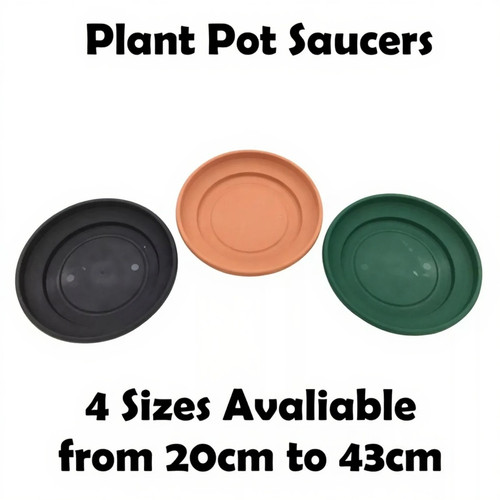 Plant pot saucer round - plant,