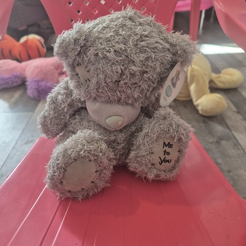 Tatty teddy bear - teddy,