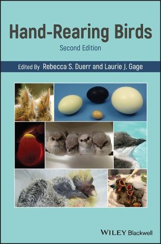 Hand rearing birds rebecca - birds, by