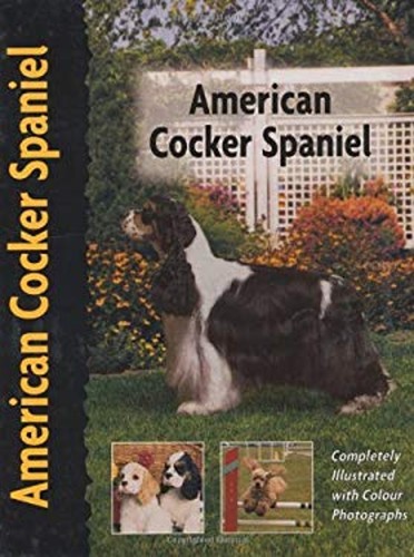 American cocker spaniel - cocker,