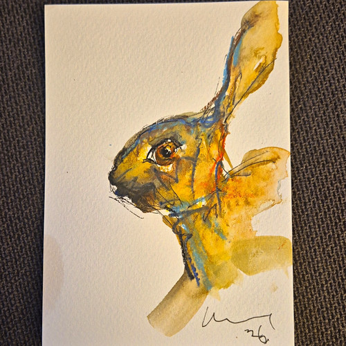 Original watercolour hare - watercolour,