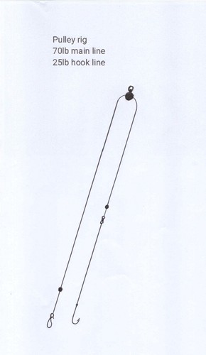 Circle hook sea fishing - hook, x