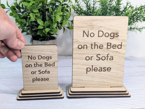 Dogs the bed or - bed,