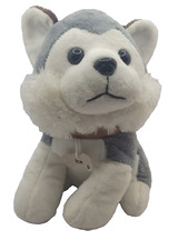 Husky Puppy Ice Siberian –