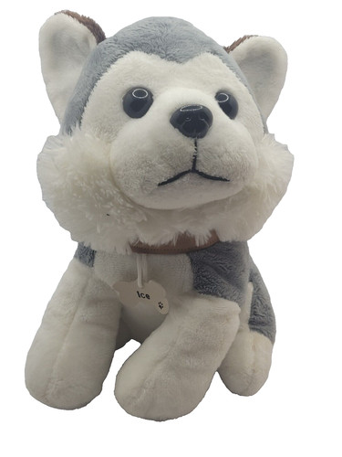 Husky puppy ice siberian - ice,