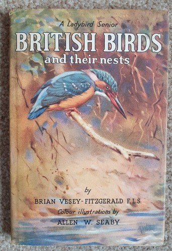 Ladybird senior british birds - ladybird,