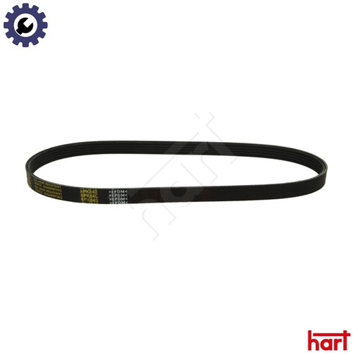 Vribbed belt 360 - 811, for
