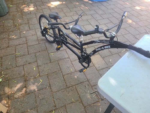 Rare seat adams - 2,