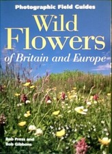 Wild flowers britain - wild, of