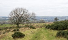 Photo 6x4 Rough grazing land