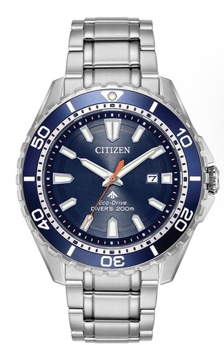 Citizen promaster blue - promaster, dial