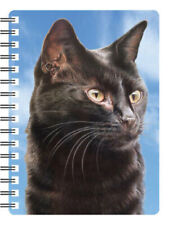Cat & Kitten POCKET NOTEBOOKS