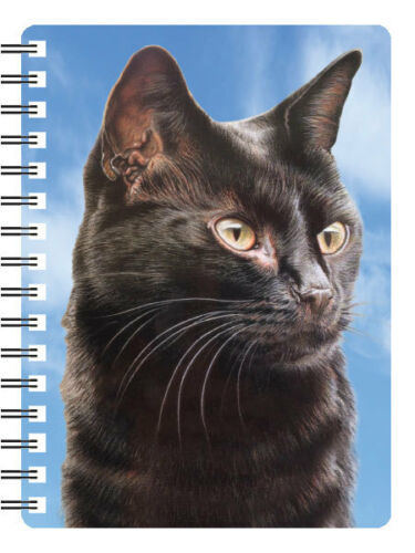 Cat kitten pocket notebooks - cat,