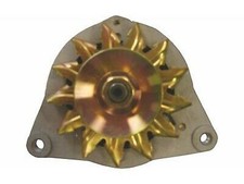 New Alternator for Ford, Land