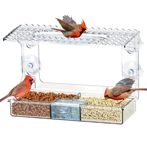 Clear acrylic window bird - acrylic,