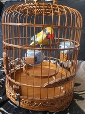 Ornate bamboo bird cage with - ornate,