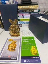 natwest gold pig - Annabel - 1