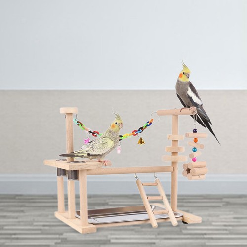Parrot bird playground wood - bird,
