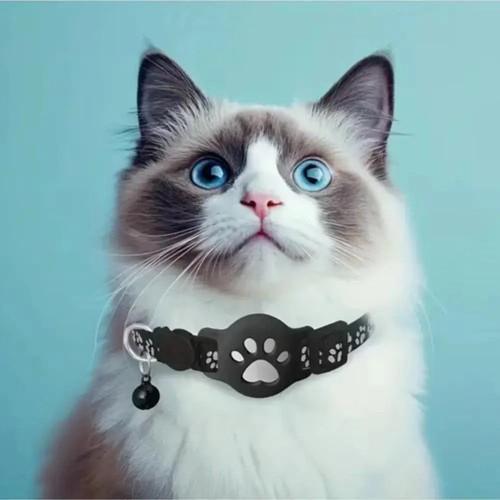 Cat tracker finder gps collar - cat,