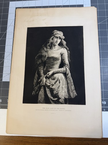 Original 1886 antique - antique, etching