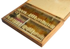 Antique Microscope Slides, 1920s and earlier, cased collection of 100