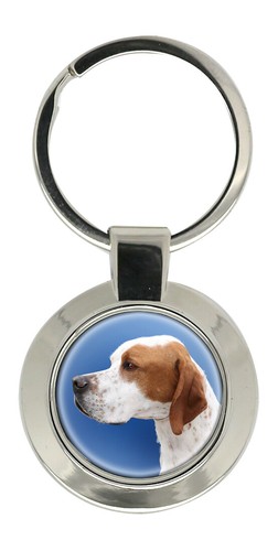 English pointer key - key, ring