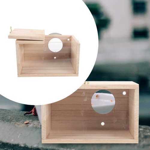 Bird nesting box for - bird,