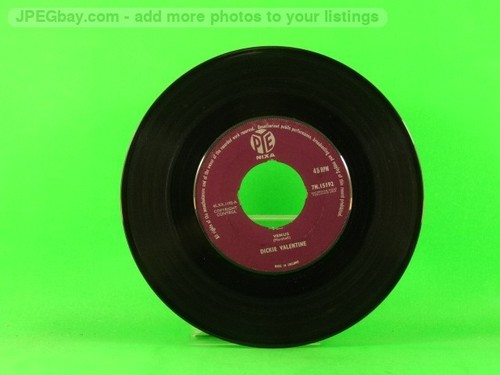 Valentine dickie venus - venus, (137)