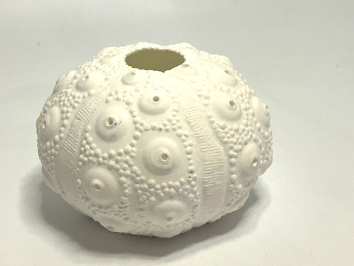 Vintage porcelain sea urchin - vintage,