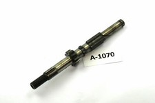 Triumph TWN BDG 250 H S L SL -