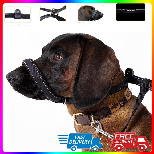Padded head collar champion - collar,