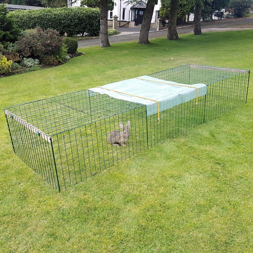Rabbit run folding - rabbit,